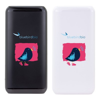 10,000 mAh Power Bank